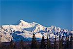 Lumière sur southside du mont McKinley et dent d'orignaux vu du Sud Denali State Park point de vue sur le centre-sud George Parks Highway, parc d'état de Denali, en Alaska, tôt le matin de printemps