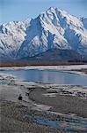 A horseback rider and its dogs trot along the icy shores of Knik River with Pioneer Peak in the background, near Palmer, Matanuska-Susitna Valley, Southcentral Alaska, Spring