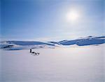 A dog team in a winter landscape.