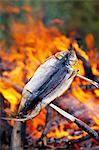 A grilled fish over open fire.