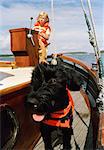 An eight-year-old girl navigates a sailboat, a puppy is on the deck.