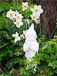 A white garden gnome.