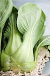 Fresh bok choy