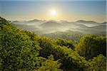 Sonnenaufgang über Berge, Vorderweidenthal, Pfalzerwald, Rheinland-Pfalz, Deutschland