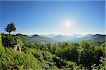 Aussichtspunkt auf Burg Lindelbrunn, Vorderweidenthal, Pfalzerwald, Rheinland-Pfalz, Deutschland