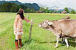 Woman feeding cow, Bavaria, Germany