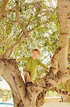 Smiling young boy climbing a tree