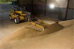 Forklift pushing grain in store