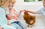 Kinder, die ein Huhn streicheln