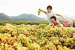 Generational family looking at grapes