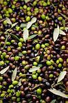Fresh olives