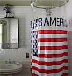 God bless america shower curtain and basin in a renovated georgian townhouse. Architects: Designer: John Teall, Flux Interiors. Designed by Designed by FLUXinteriors