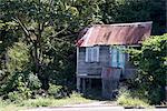 Grenada. Baufällige Hütte mit Wellblech-Dach