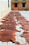 Dyed Leather Hides Drying, Medina, Marrakech, Morocco