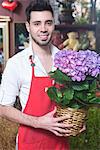 Florist stands with hydrangea