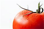 Tomato on white background