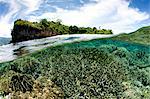 Over/under of coral reef