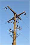 Utility Pole, Hasloch, Spessart, Franconia, Bavaria, Germany