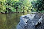 Tahan River, Regenwald, Taman Negara Nationalpark, Pahang, Malaysia