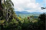 Vue du Parc National de Taman Negara, de Bukit Teresek, Pahang, Malaisie