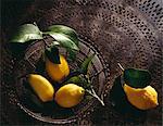 Zitronen von Menton