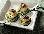 Cubes of coalfish with zucchini and cumin cream sauce