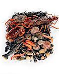 Crustacés et fruits de mer assortis
