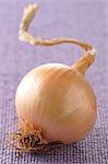 Onion