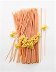 Tomato-flavored spaghettis and plain  farfalles