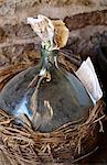 Preparing mirabelle plum Eau-de-vie in a demijohn