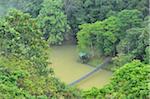 Pont au-dessus de l'eau dans la forêt tropicale, Sepilok Rainforest Discovery Center, Sabah, Borneo, Malaisie