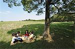 Children Having Fun in Park