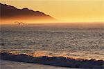 Kaikoura, New Zealand