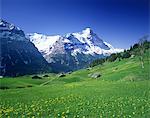 Eiger, Suisse