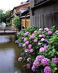 Kyoto, Japon