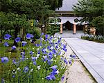 Chishakuin, Kyoto, Japan