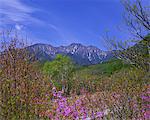 Gongendake, Yamanashi, Japon