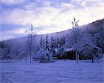 Chena Hot Spring, Alaska, America