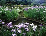 Sanctuaire Heian Jingu, Kyoto, Japon