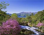 Ryuzu Falls, Tochigi, Japan