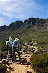 Australien, Tasmanien, Cradle Mountain-Lake St. Clair National Park. Wanderer auf dem Gipfel-Trail mit den Gipfeln des Cradle Mountain in der Ferne.