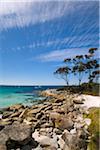 Australia, Tasmania, St Helens.  Scenic coastline at Binnalong Bay - part of the famed Bay of Fires region.