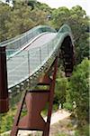 Australia, Western Australia, Perth.  The glass and steel Federation Walkway winds across the treetops in Kings Park.