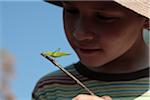 India, Kerala, Periyar National Park. A young boy observes a cricket on a twig.