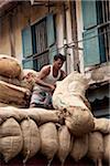 India, Cochin. A man hauls up big sacks of chilli onto the back of a lorry.