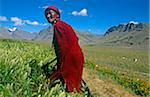 India, Himachal Pradesh, Spiti, Spiti Valley, nr. Kaza. A village woman tends fields of millet and barley in the Spiti Valley, one of the remotest regions of the Indian Himalaya.