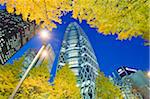 Asia, Japan, Tokyo, Shinjuku, Tokyo Mode Gakuen Cocoon Tower, Design School building, yellow ginkgo leaves