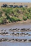 Touristen sehen Sie Spalten von Gnus den Mara River während ihrer jährlichen Wanderung überqueren des Serengeti Nationalparks im Norden Tansanias, die Masai Mara National Reserve.