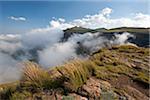 Lesotho, Sani Pass. La frontière avec l'Afrique du Sud dans les montagnes du Drakensberg. Nuages roulent vers le haut du col.