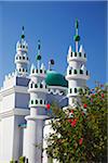 Mosque, Inhambane, Mozambique